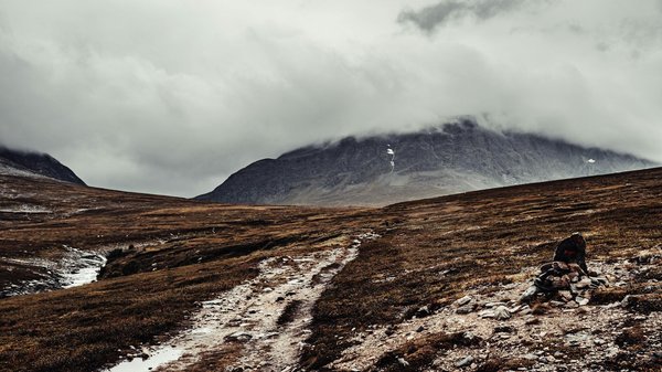 Quels sont les meilleurs spots pour observer les phoques en liberté en Écosse?