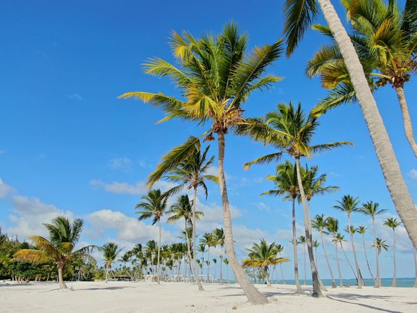 Comment organiser une expédition en traîneau à chiens en Laponie sans se ruiner?